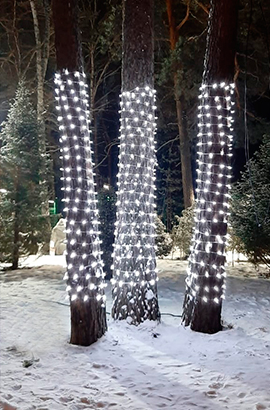 украшение деревъев гирляндой в Челябинске